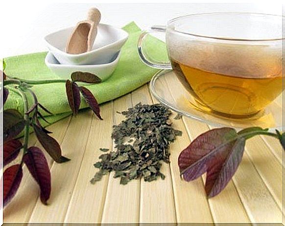 walnut-leaf-tea-1