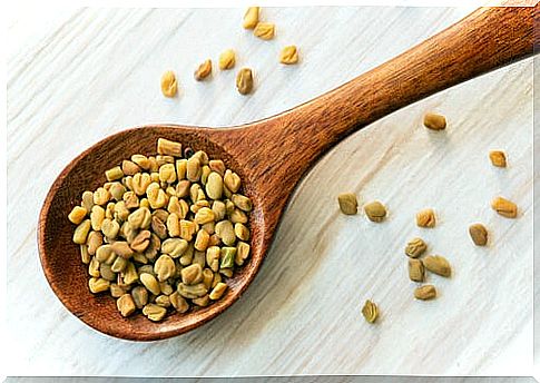 Fenugreek seeds