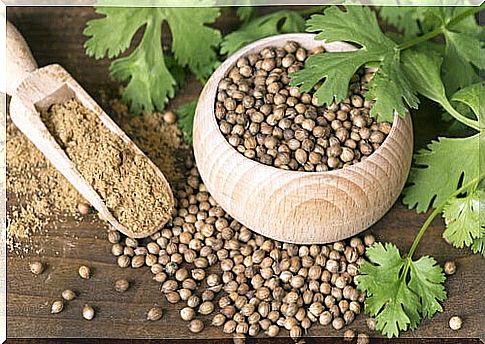 Coriander seeds