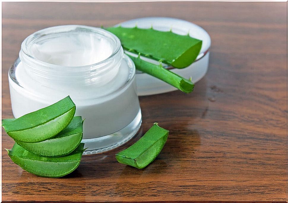 Aloe vera night cream, milk and olive oil