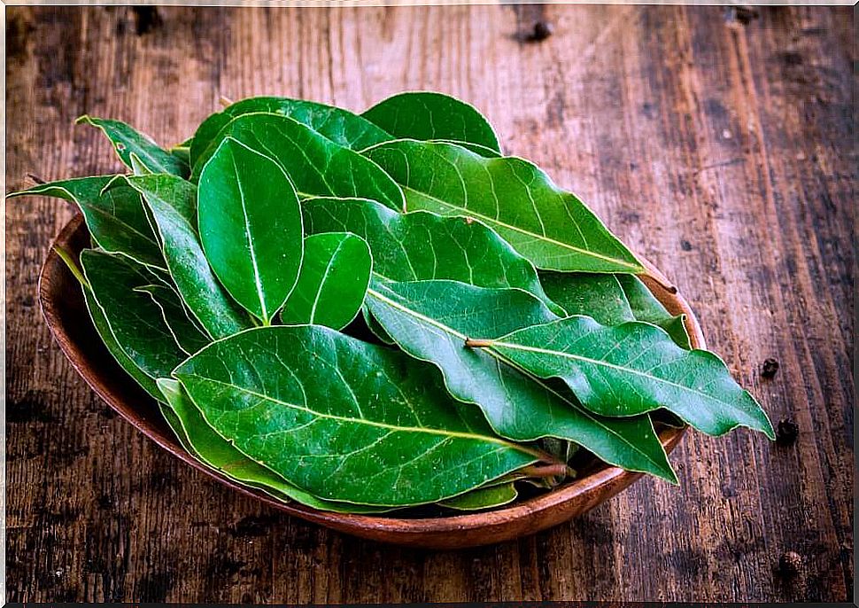 bay-leaves