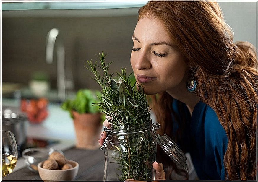 3 preparations with rosemary to take care of your hair