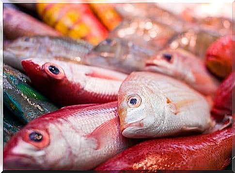 6 types of fish that you should not consume