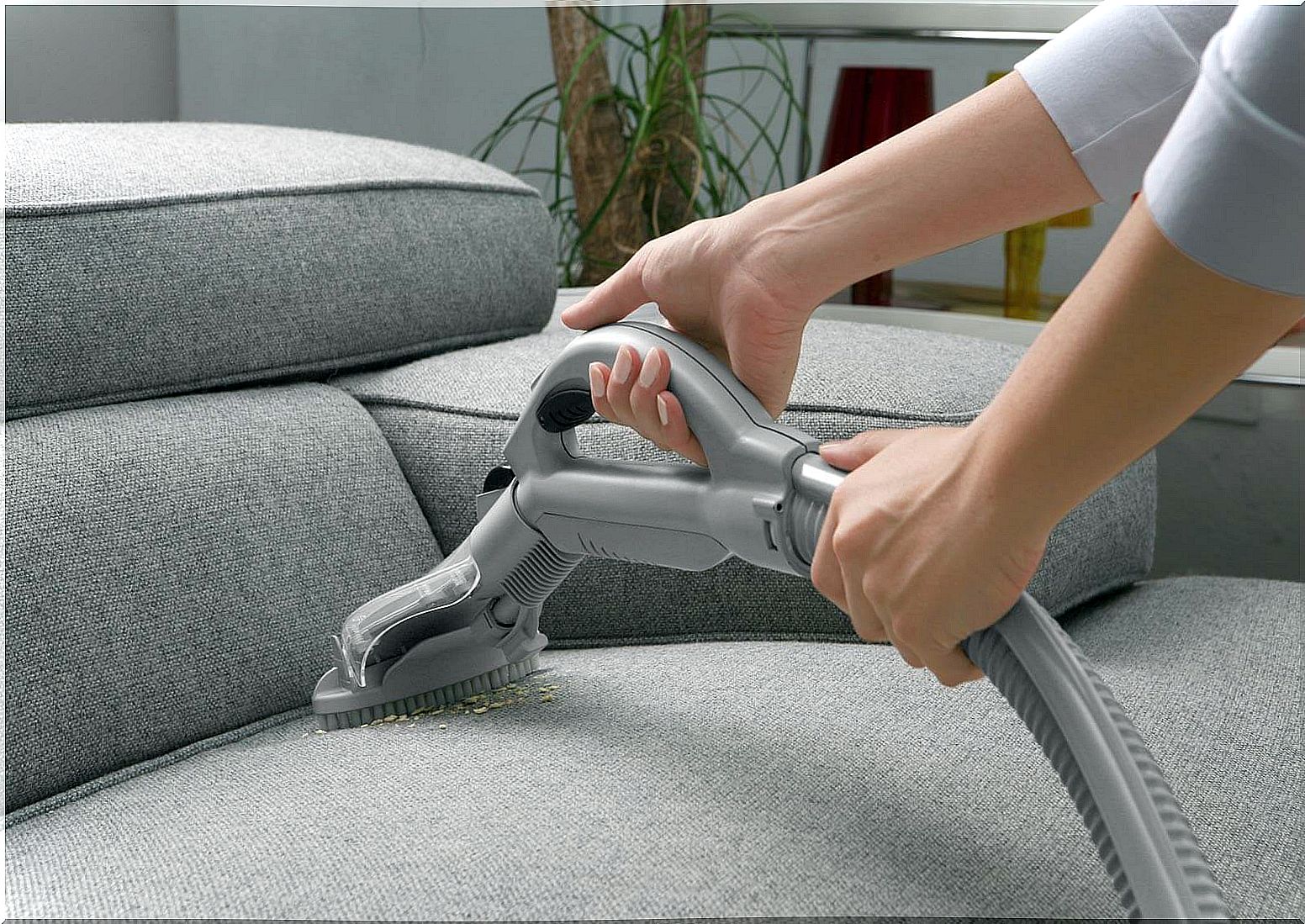 Vacuuming the sofa