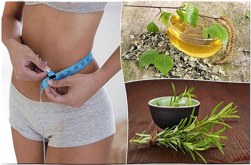 8 Herbal Diet Supplement For Weight Loss