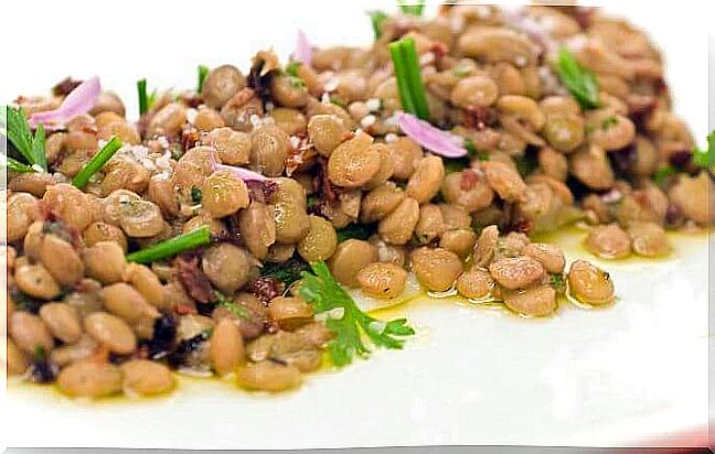 Lentil Salad