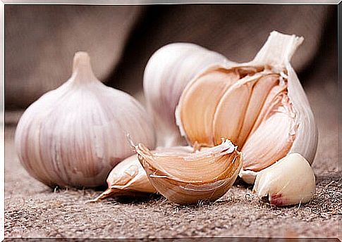 Garlic