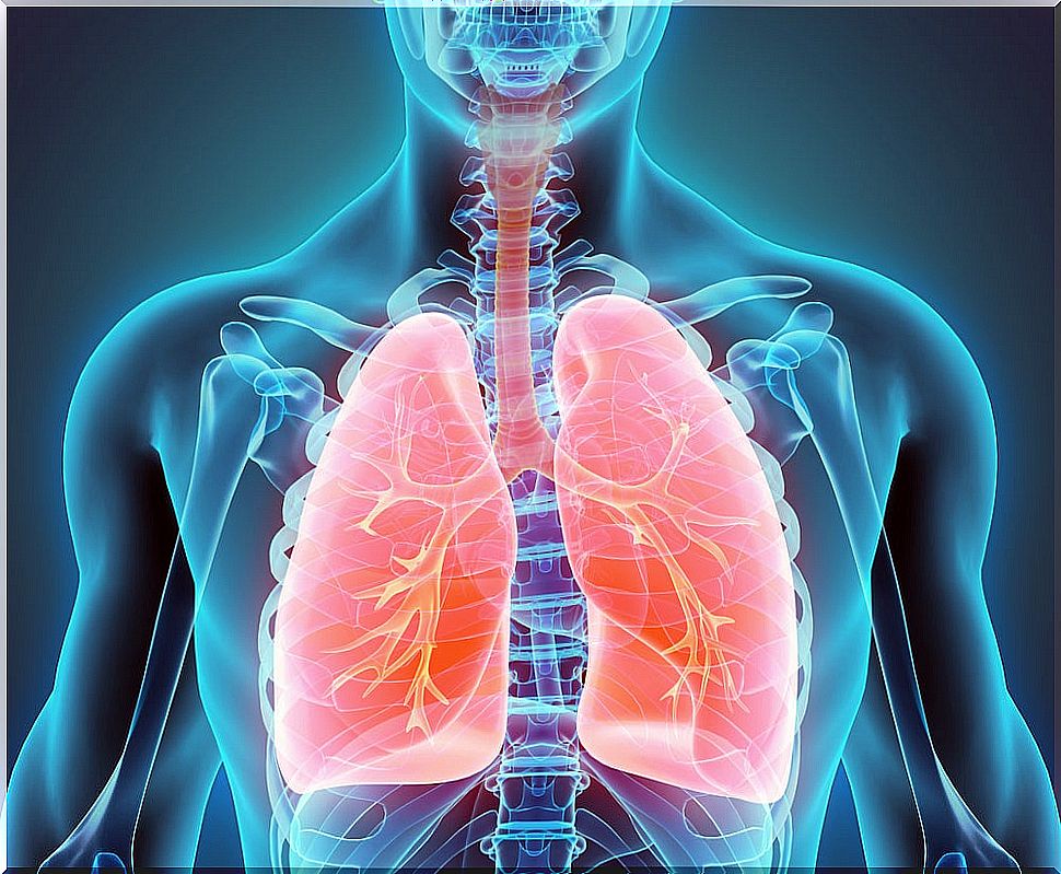 How to quit smoking and detoxify the lungs