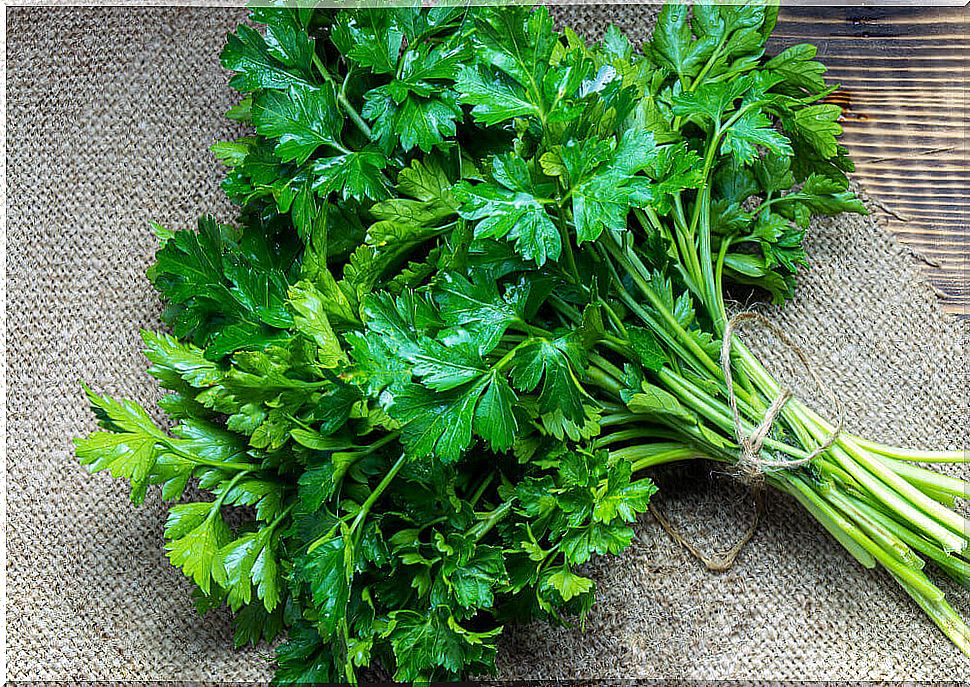 Benefits of parsley for the kidneys