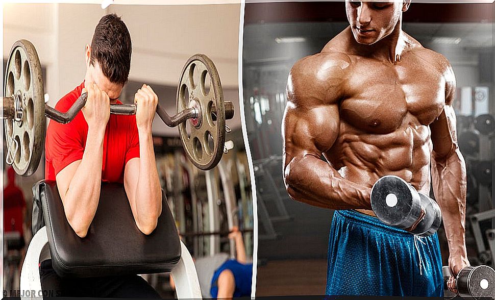 Exercises to increase biceps