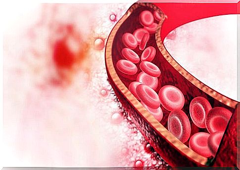 Artery without oxidative damage