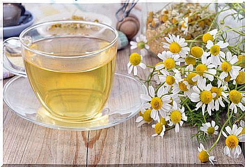 Chamomile infusion