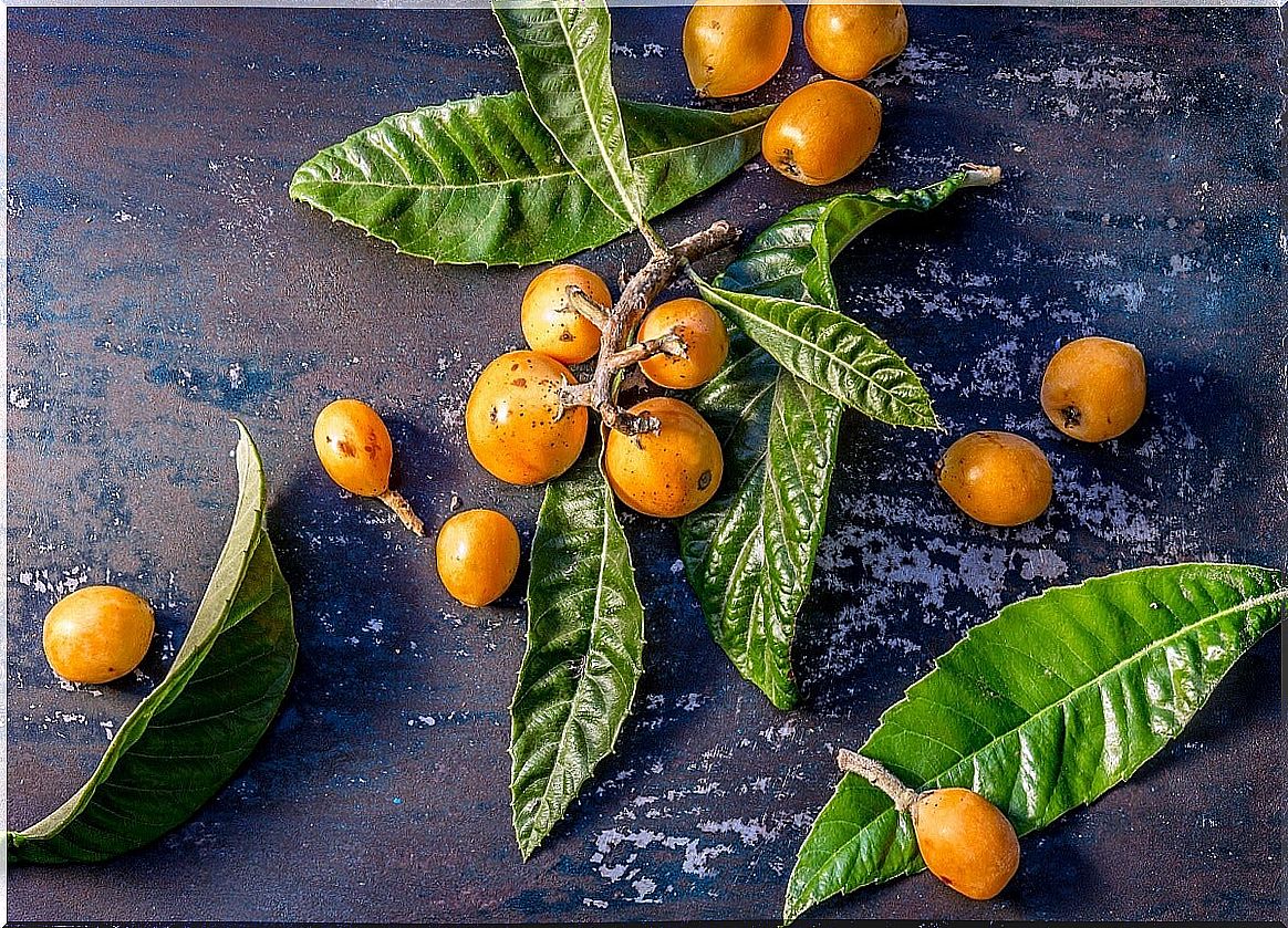 Nutritional properties of loquats