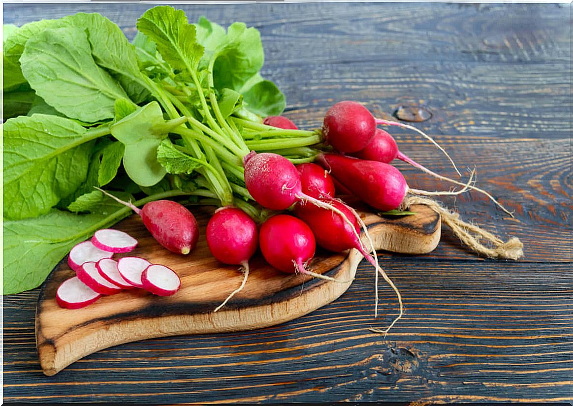 Radish leaves: benefits and ways of use