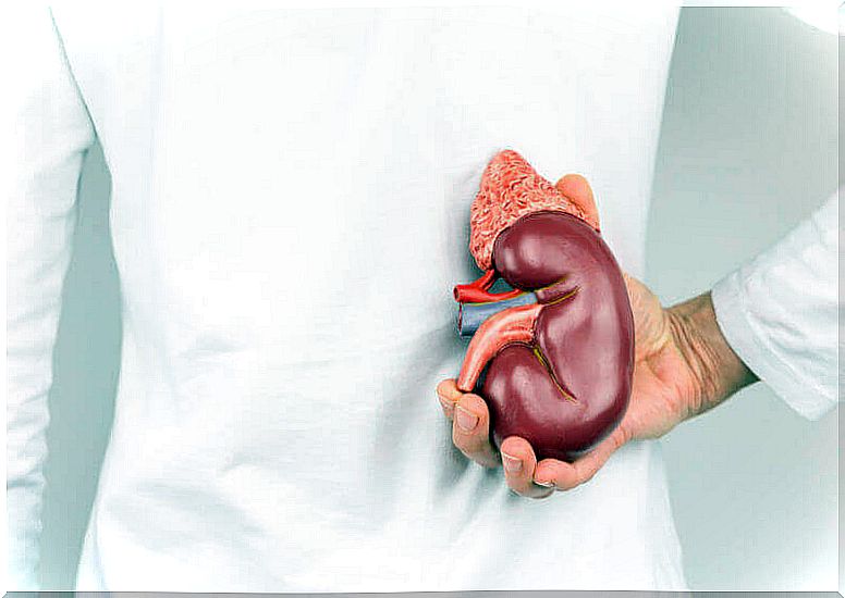 kidney disease