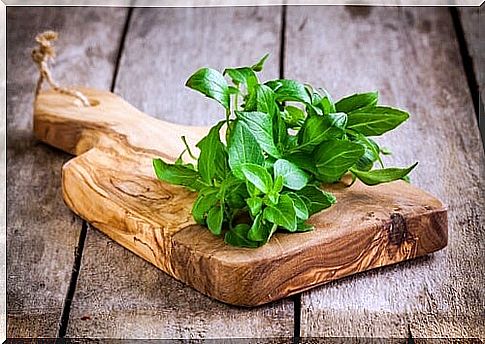 Basil is very useful to repel mosquitoes.