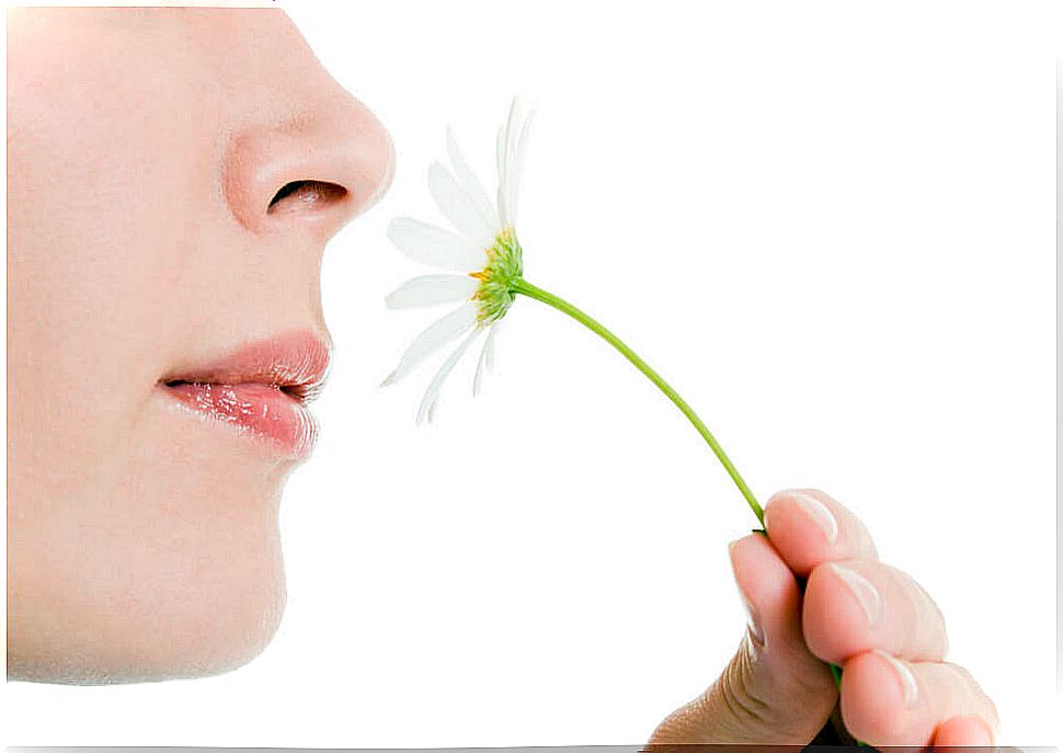 What are the most common smell disorders?