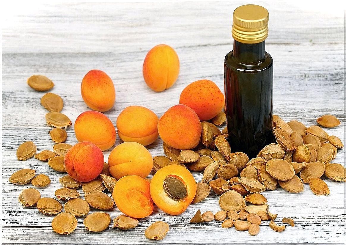 Studies related to apricot seeds